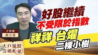 好股繼續不受限於指數 祥祥 台燿 二棵小樹 (圖)