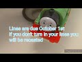 Percy Takes The Plunge Redub Announcement Closed
