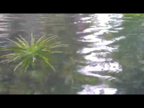 Craig Armstrong & Elizabeth Fraser THIS LOVE