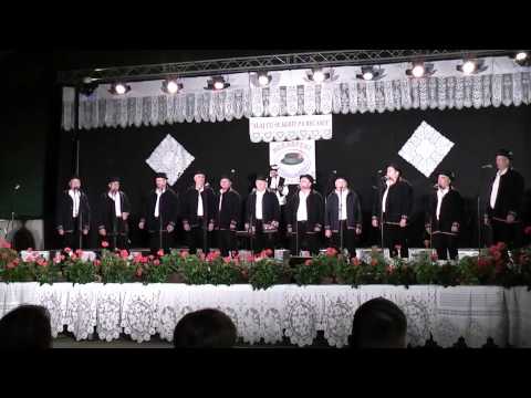 MVS Bećarine Đakovo 3. Bećarfest Alaj ću se kerit pa bećarit