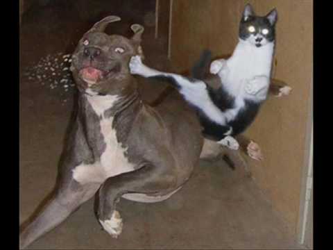 The Chemical Brothers - Hey Boy,Hey Girl(610244 Gypsy Again Uplifting mix)