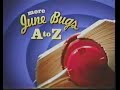 EXTREMELY RARE Boomerang USA June Bugs Continues Bumper June 2004