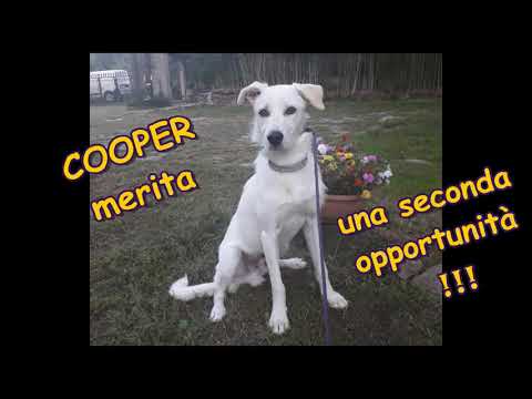 ANASTASIO, ora Cooper, merita una seconda opportunità!