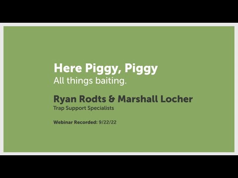 Here Piggy, Piggy: All Things Baiting | Pig Brig Trap Systems