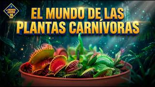 Thumbnail del capítulo