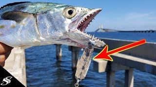 Rigging a Trolling Spoon for Pier Fishing - Crazy Results!