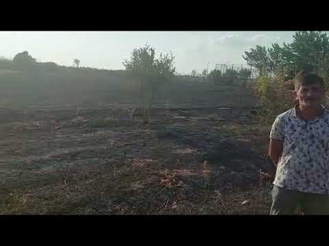 FHN-in Dövlət Yanğın Nəzarəti Xidməti yanğın törətmiş şəxsi müəyyən edib