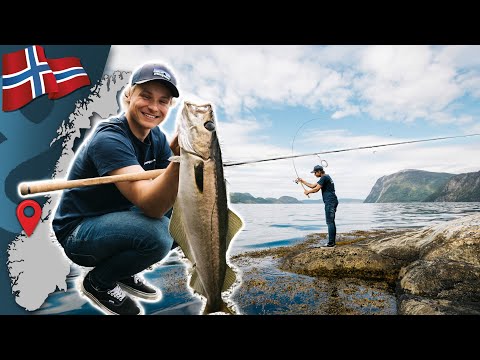 Pollack vom Ufer / Spinnfischen am Romsdalfjord 🇳🇴