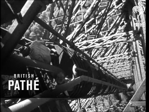 Cleaning The Eiffel Tower (1946)