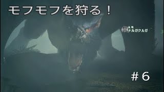 モンハンワールドアイスボーン　MHWIB  #6　ナルガクルガ来るな！よるな！　モンスターハンター