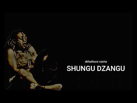 Shungu dzangu