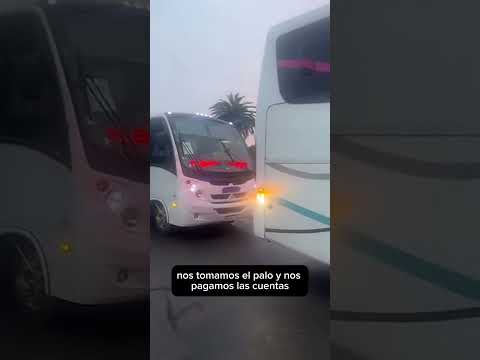 Trenque lauquen llegada delegación juegos bonaerenses