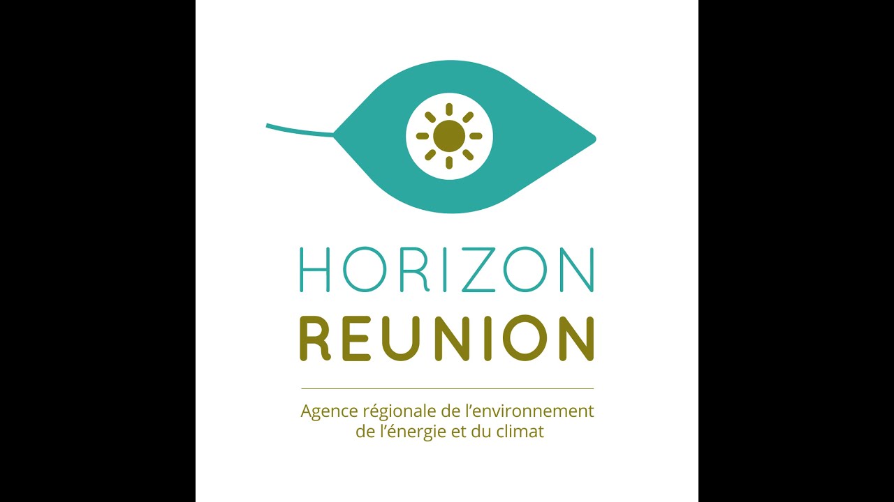 La contribution du photovoltaïque en 2019 à La Réunion