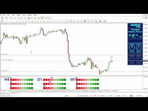 Forex Gemini Code - EURUSD H1 - 5k+ Profit Trade