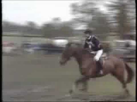 Three Day Event -- Thrills & Spills: last minute saves