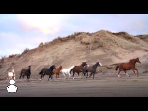 purnjo, brane, nomark - OBOW (Official Lyrics)