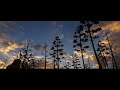 Blue Sky by Fluke