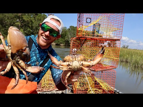 GIANT JUICY STONE CRAB Catch and Cook! (Camping on my boat)