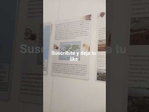 Segunda parte Museo Histórico Malvinas Rio Cuarto Córdoba Argentina