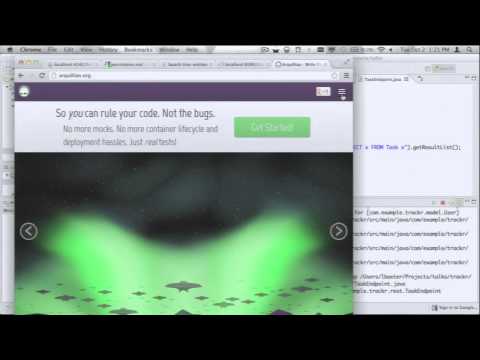 Forge New Ground in Rapid Enterprise Software Development