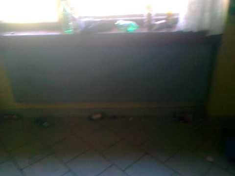 Obóz Zerowy SGGW 2010