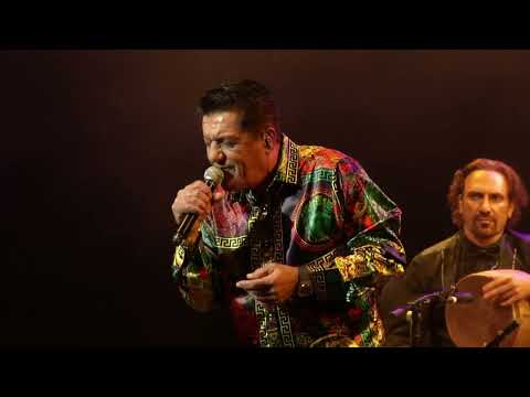 Davood Behboodi - Asal (Live) | داوود بهبودی عسل