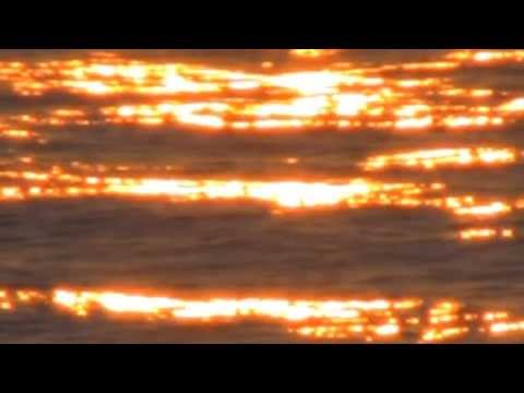 Jef Barbara - Florida Is The Future [Official Video]