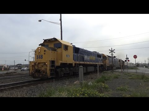 X48, G540, XR558 7902V Fruit At North Geelong