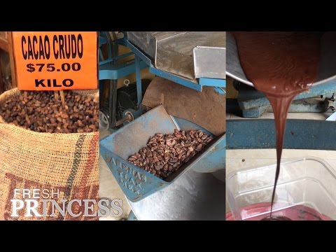 download lagu mp3 mp4 Where To Buy Cocoa Beans, download lagu Where To Buy Cocoa Beans gratis, unduh video klip Where To Buy Cocoa Beans