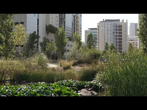 Durchlässige Böden und riesige Tunnels: Lissabon wird zur „Schwammstadt“