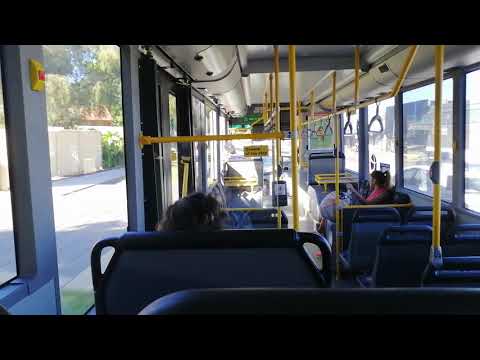 Transperth Bus No. 1905