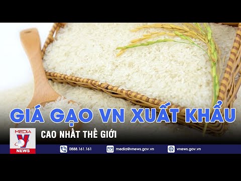Giá gạo Việt Nam xuất khẩu cao nhất thế giới