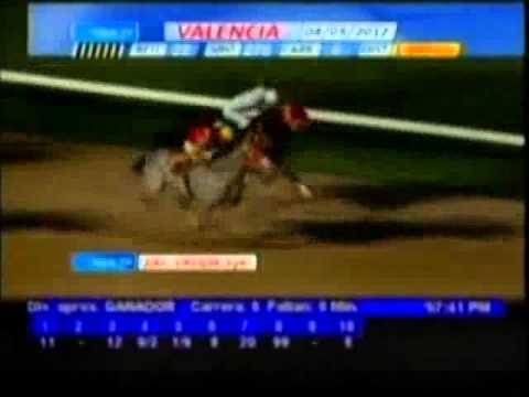 Resumen, Viernes, 04 de Mayo de 2012 - Valencia
