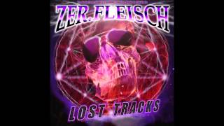 LOST TRACKS SNIPPET - ZER.FLEISCH