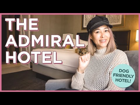 阿拉巴馬州莫比爾海軍上將酒店的豪華愛犬住宿。 (Luxurious Dog-Friendly Accommodation at The Admiral Hotel in Mobile, Alabama)