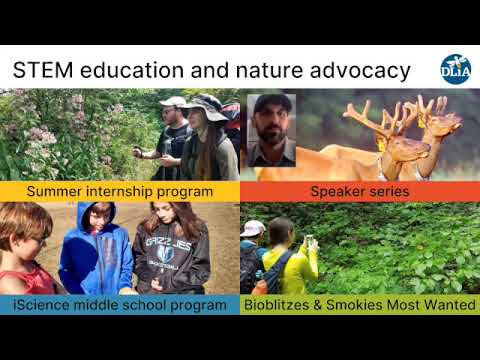 DLiA Unveiling the Smokies by Todd Witcher