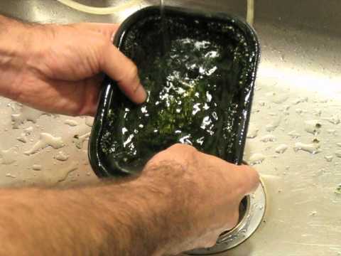 Santa Monica Filtration HOG1 Upflow Algae Scrubber - A Cleaning After Running in Freshwater