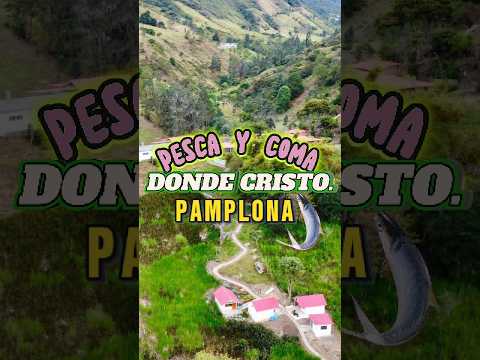 El lugar perfecto para la pesca, comer rico y hospedarte📍Pesca y Coma donde Cristo🎣CAP. 45