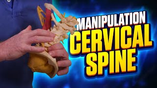 How to Manipulate the Cervical (Neck) from a seated position