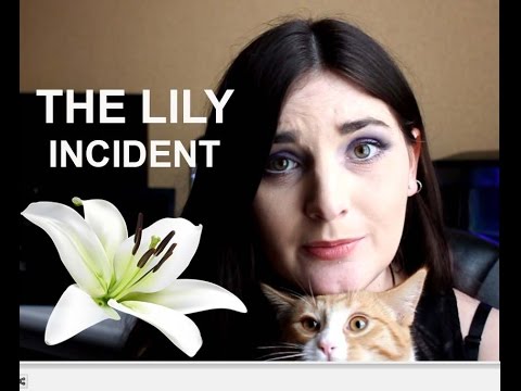 YouTube video about: Can polyurethane fumes kill cats?
