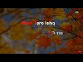 Main Tere Ishq Mein | karaoke Song with Lyrics | Loafer | Lata Mangeshkar