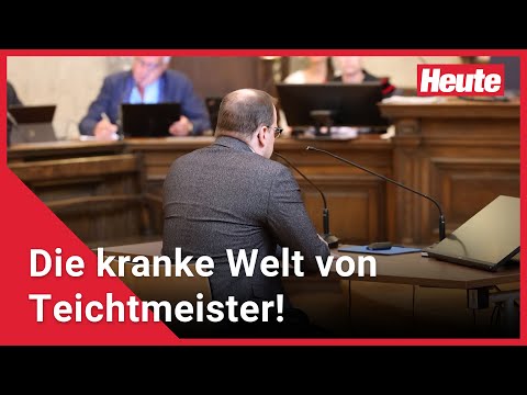 Täglich Koks, Kinderpornos – die kranke Welt von Teichtmeister