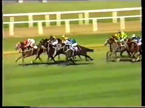 1986 Golden Slipper  John Tapp