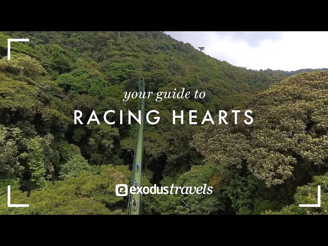 Your Guide to Racing Hearts