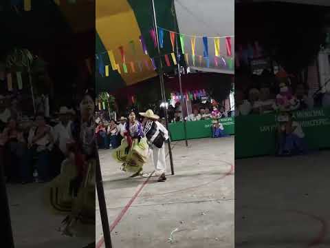 Calenda en San José Chichihualtepec Oaxaca.Amigo González. Video sin fines de lucro.