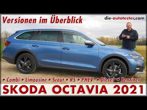 SKODA OCTAVIA SCOUT compared to OCTAVIA RS, Combi, Sedan, and Hybrid | Data Test Review