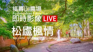福壽山農場 - 松廬楓情