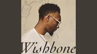 Wishbone Music Video