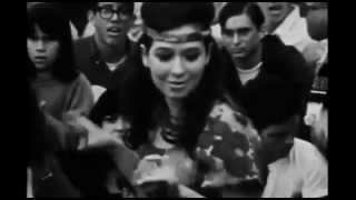 Randy Alvey and The green fuzz.  and( lyrics).(1967).*****