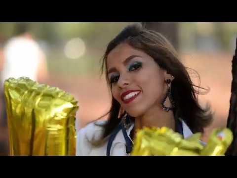 Ensaio Medicina Veterinária